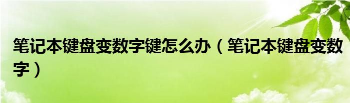 笔记本键盘变数字键怎么办【笔记本键盘变数字】