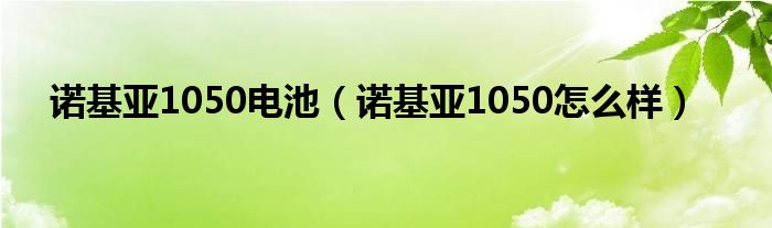 诺基亚1050电池【诺基亚1050怎么样】