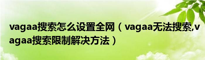 vagaa搜索怎么设置全网【vagaa无法搜索,vagaa搜索限制解决方法】