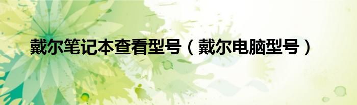戴尔笔记本查看型号【戴尔电脑型号】