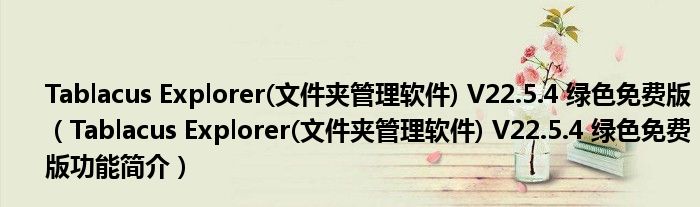 Tablacus Explorer(文件夹管理软件) V22.5.4 绿色免费版【Tablacus Explorer(文件夹管理软件) V22.5.4 绿色免费版功能简介】