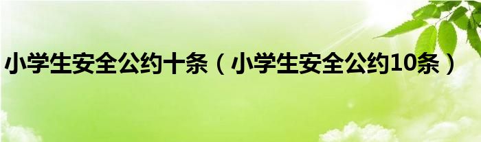 小学生安全公约十条【小学生安全公约10条】